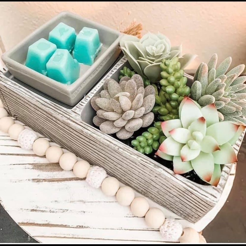 Scentsy Warmer